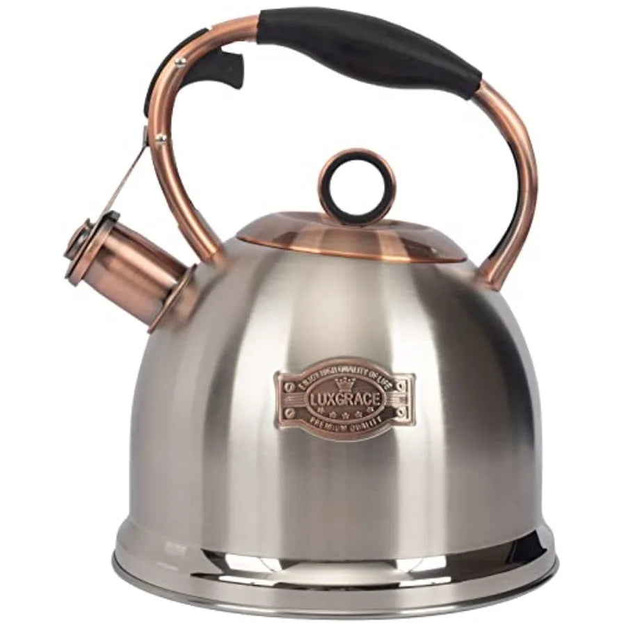 Stainless Steel Tea Kettle