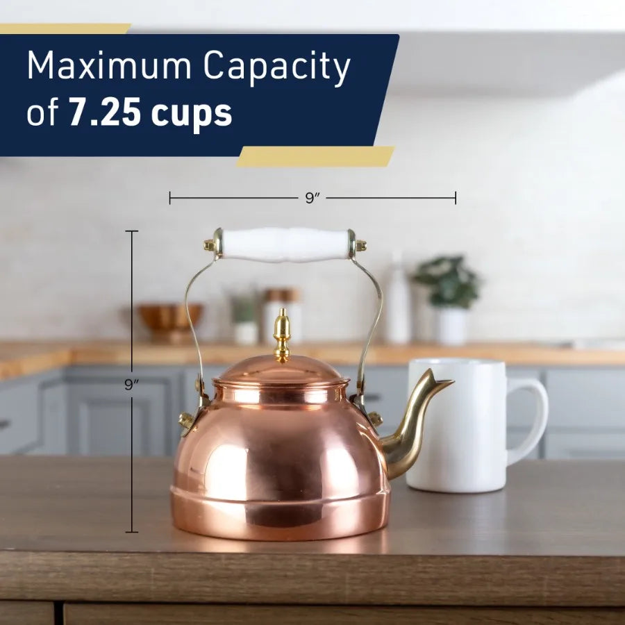 Classic Japanese Cast Iron Teapot