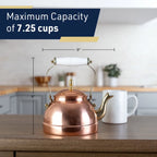 Classic Japanese Cast Iron Teapot