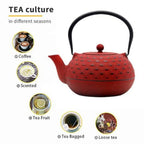 Japanese Cast Iron Teapot