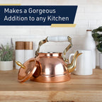 Classic Japanese Cast Iron Teapot