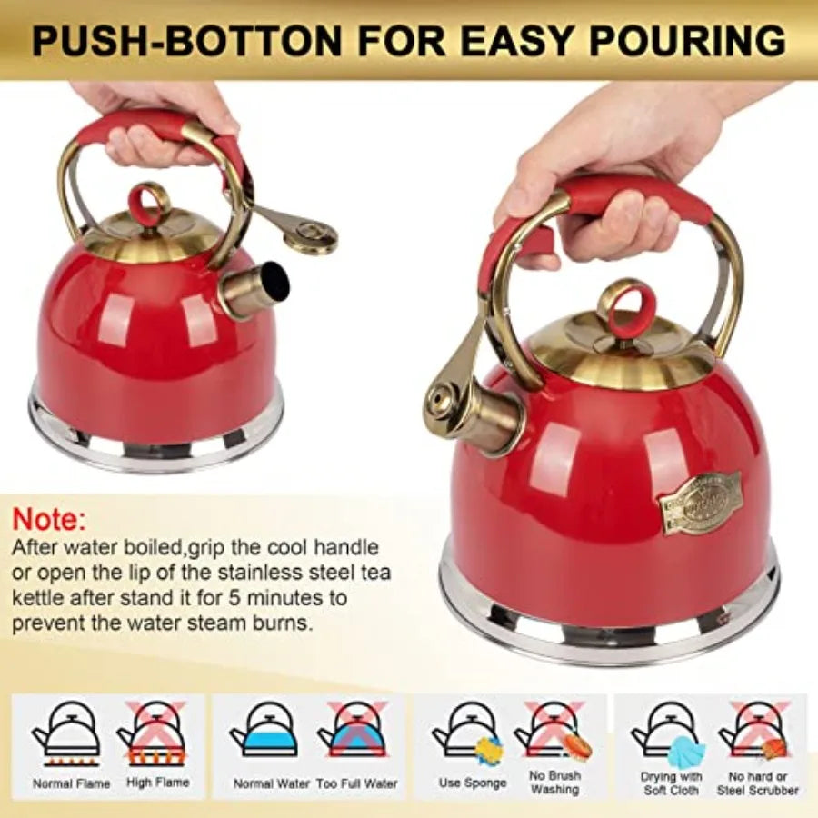 Stainless Steel Tea Kettle