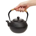 Japanese Cast Iron Teapot