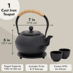 Japanese Cast Iron Tea Set