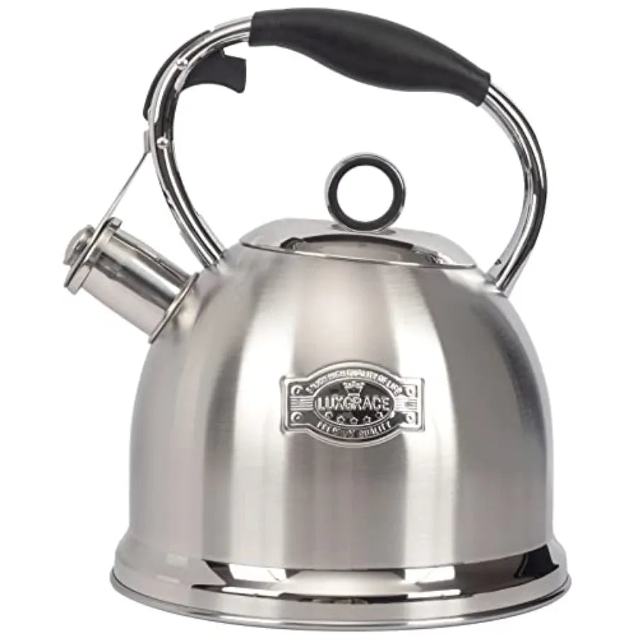 Stainless Steel Tea Kettle