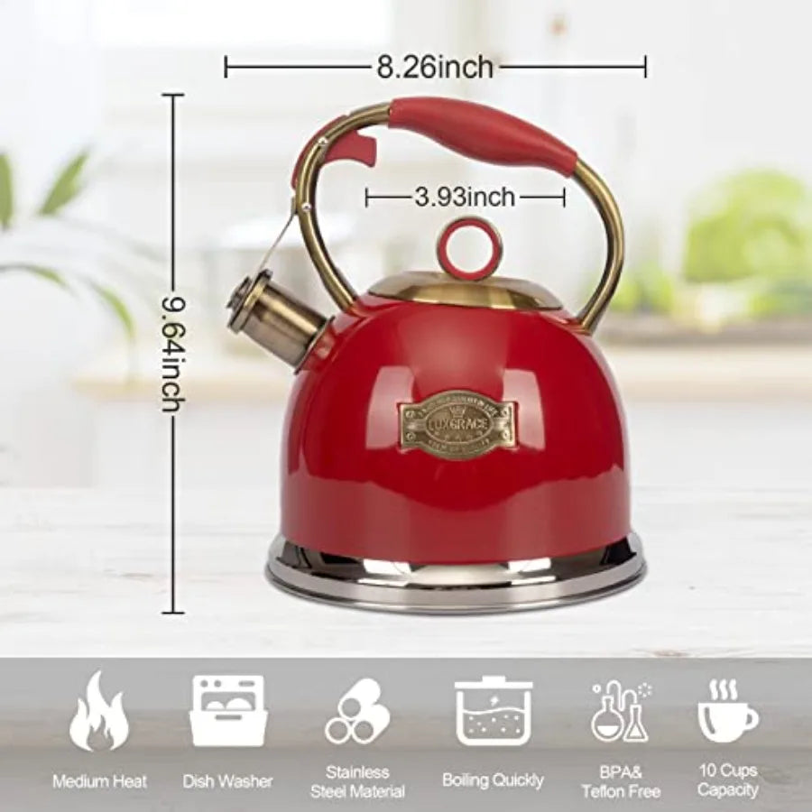 Stainless Steel Tea Kettle