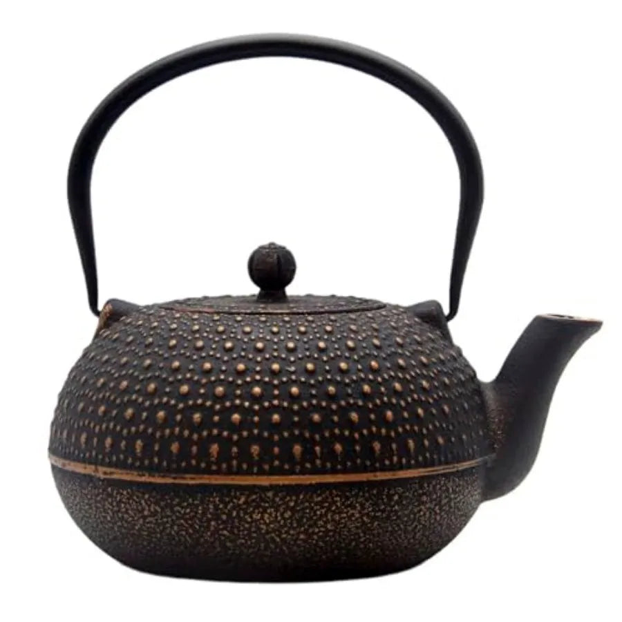 Japanese Cast Iron Teapot