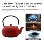 Japanese Cast Iron Teapot