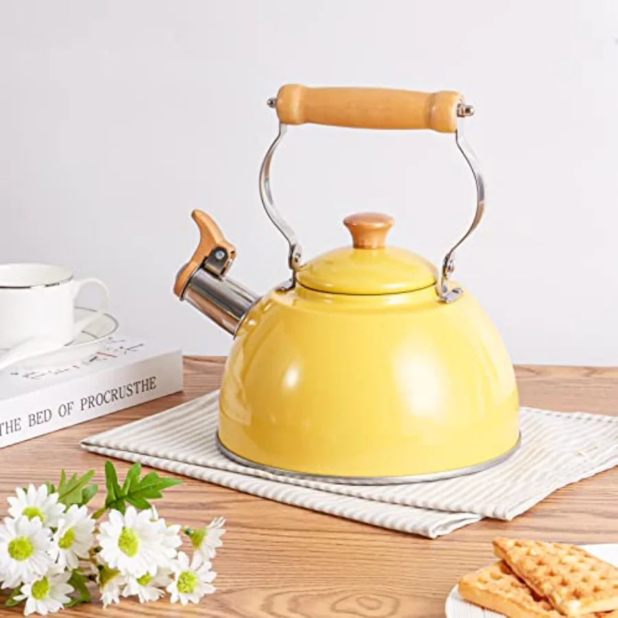 Stainless Steel Tea Kettle
