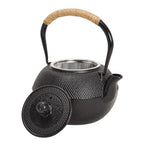 Japanese Cast Iron Tea Set