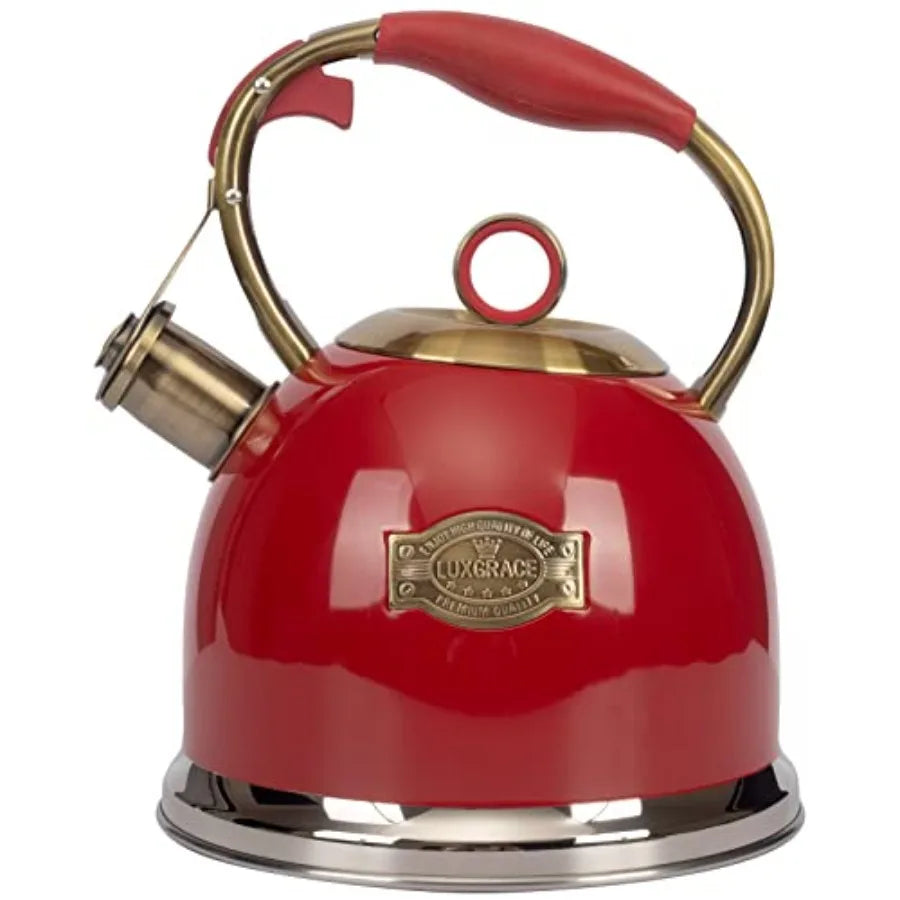 Stainless Steel Tea Kettle