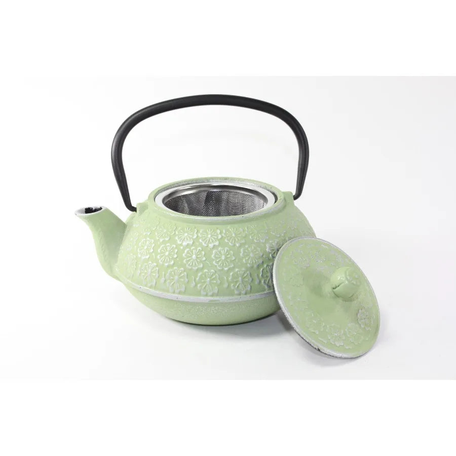 Japanese Tetsubin Tea Pot